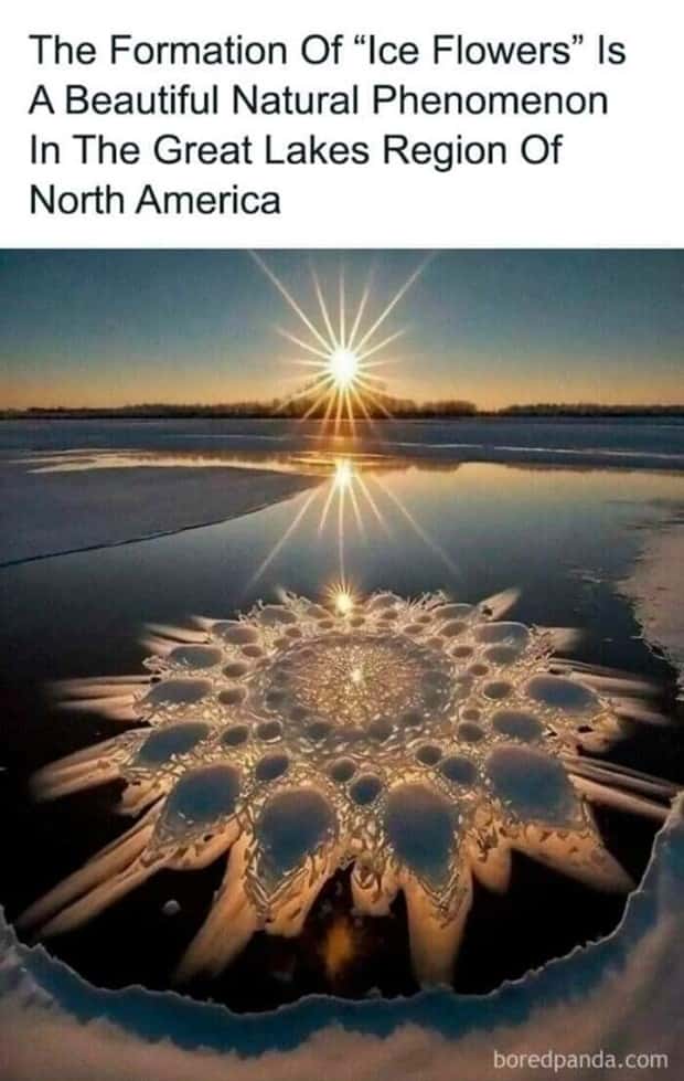 Cool and Interesting Facts #419 (25 photos)