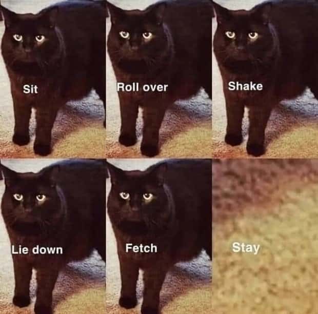 funny pics and memes 18 3 Funny Pics and Memes to Make You Laugh #148 (20 photos)
