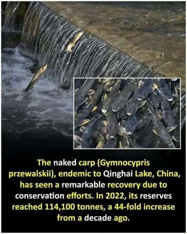 interesting facts 9 Cool and Interesting Facts #421 (20 photos)