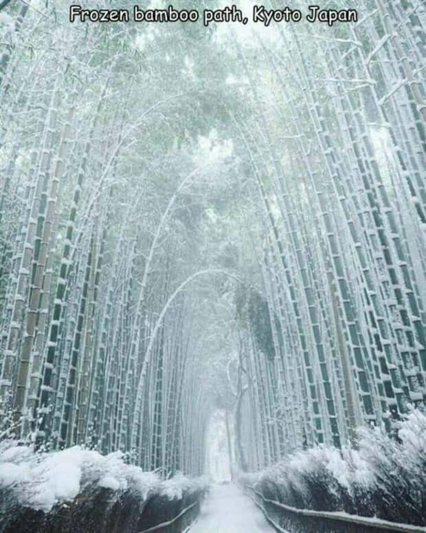 Interesting Pictures with Captions #146 (21 photos)