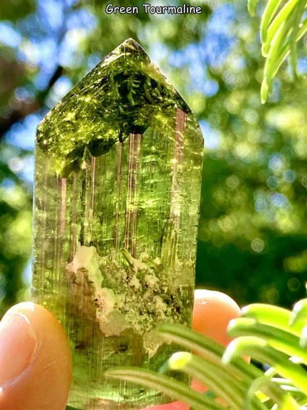 Interesting Pictures with Captions #146 (21 photos)