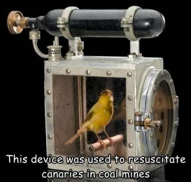 Interesting Pictures with Captions #146 (21 photos)