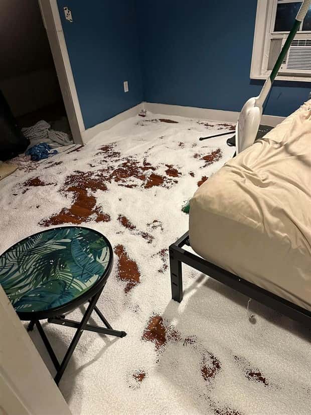 Shit Happens Regularly, Get Used To It #319 (21 photos)