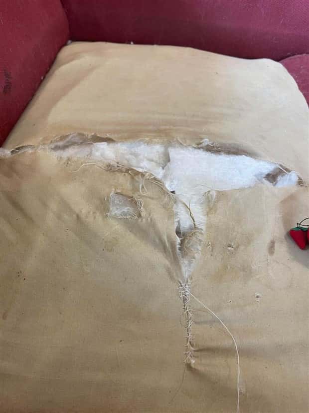 Shit Happens Regularly, Get Used To It #319 (21 photos)