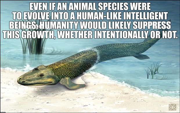 Funny Shower Thoughts #145 (20 photos)