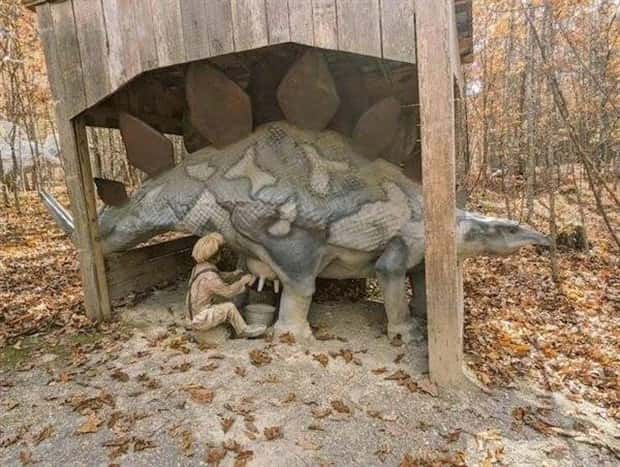 wtf photos 18 26 More WTF Photos, Because Why Not!?