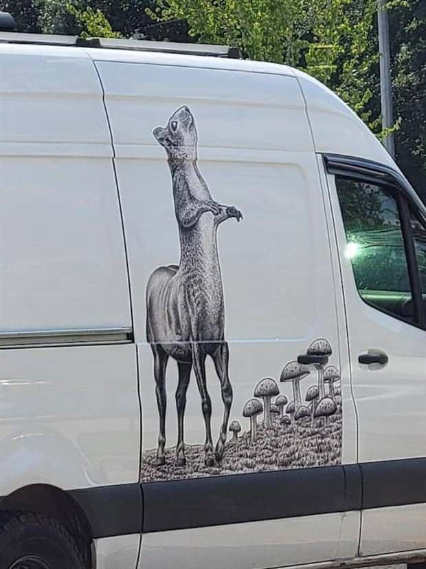 wtf photos 9 26 More WTF Photos, Because Why Not!?