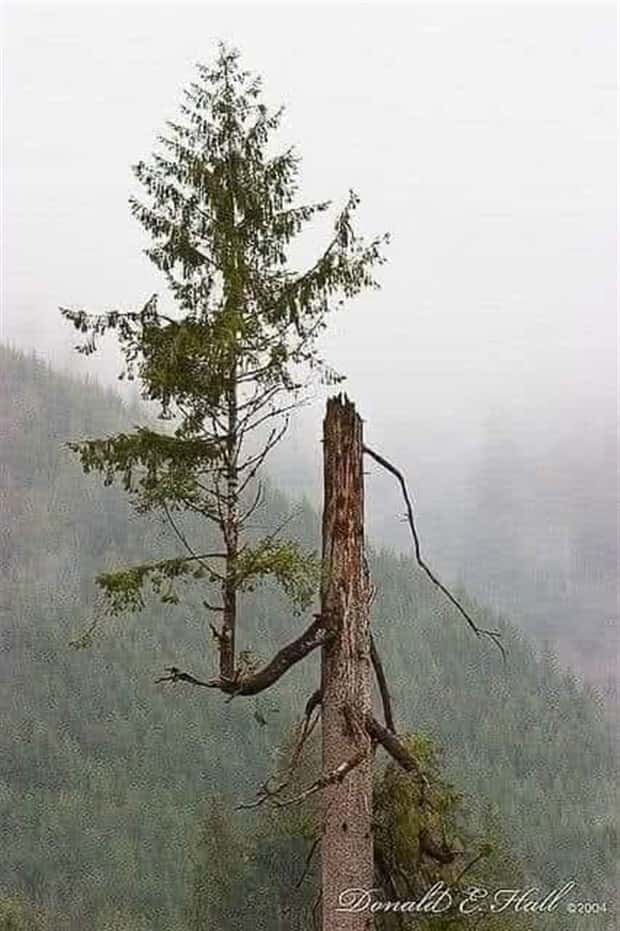 awesome pictures 1 1 Awesome Pictures You Shouldn’t Miss #148 (24 photos)