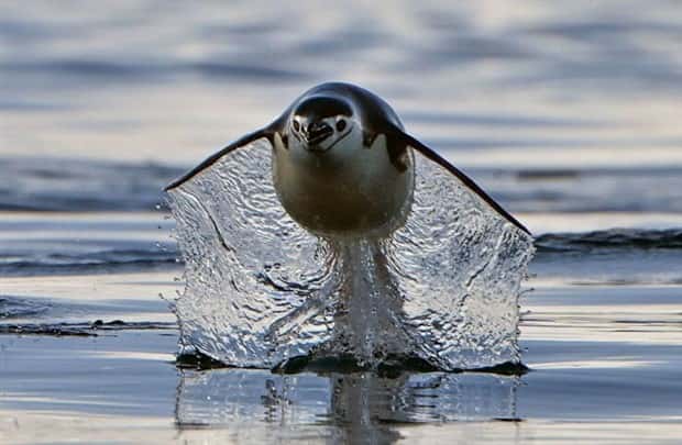 awesome pictures 12 1 Awesome Pictures You Shouldn’t Miss #148 (24 photos)