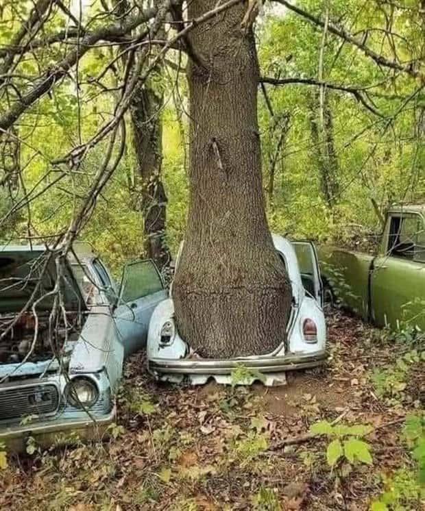 awesome pictures 14 1 Awesome Pictures You Shouldn’t Miss #148 (24 photos)