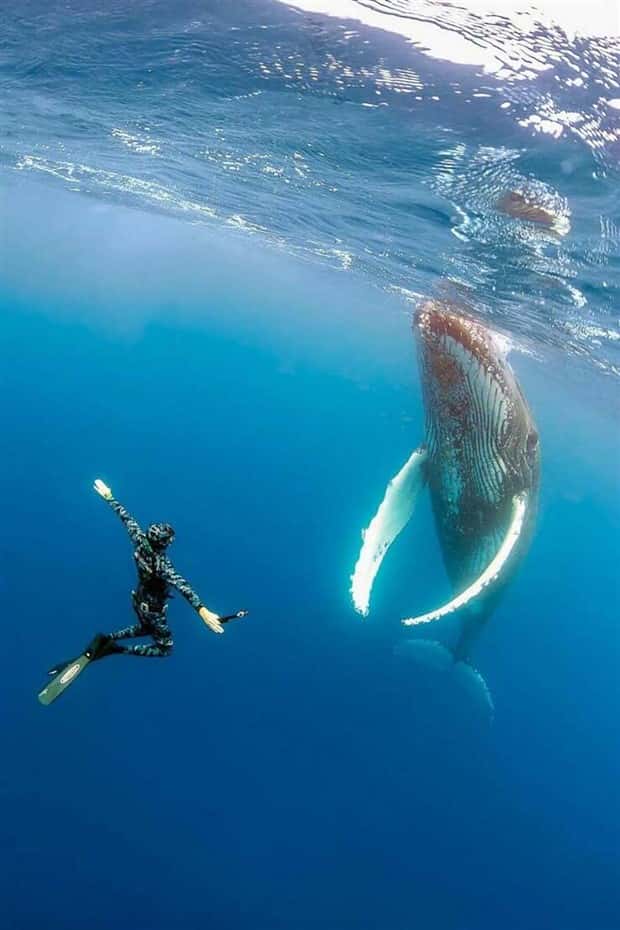awesome pictures 16 1 Awesome Pictures You Shouldn’t Miss #148 (24 photos)