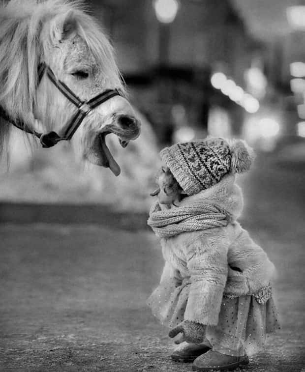 awesome pictures 17 1 Awesome Pictures You Shouldn’t Miss #148 (24 photos)