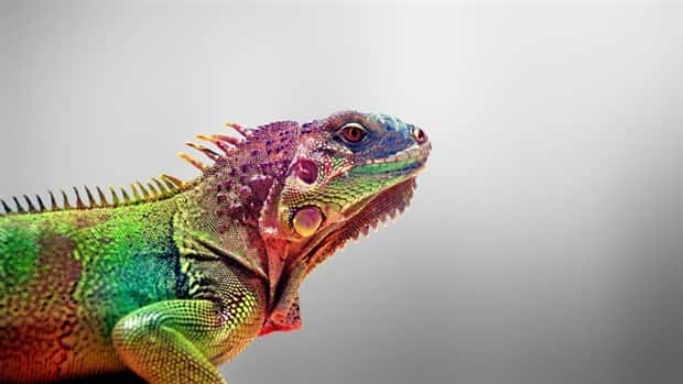 awesome pictures 2 Awesome Pictures You Shouldn’t Miss #147 (26 photos)