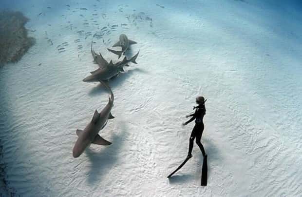 awesome pictures 21 1 Awesome Pictures You Shouldn’t Miss #148 (24 photos)
