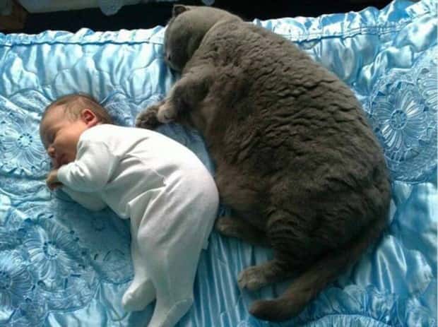 awesome pictures 8 1 Awesome Pictures You Shouldn’t Miss #148 (24 photos)