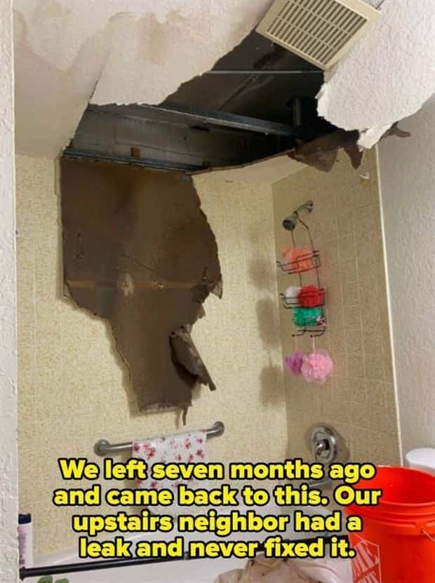 Awful Neighbors Who Crossed the Line (40 photos)