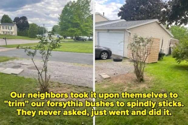 Awful Neighbors Who Crossed the Line (40 photos)