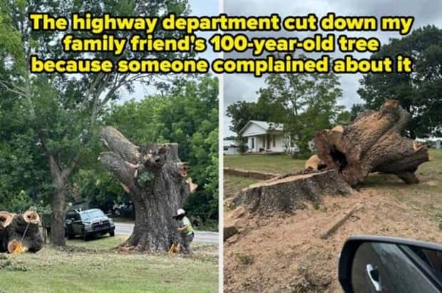 Awful Neighbors Who Crossed the Line (40 photos)