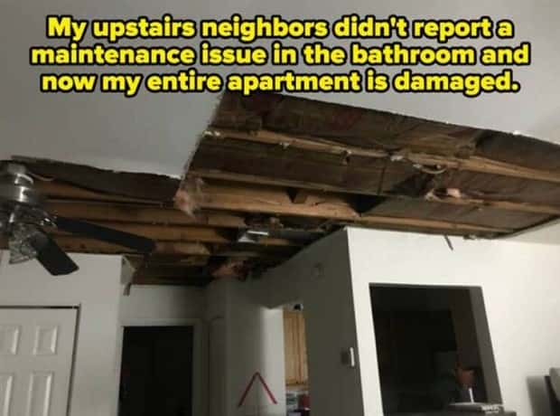 Awful Neighbors Who Crossed the Line (40 photos)