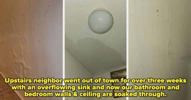 Awful Neighbors Who Crossed the Line (40 photos)