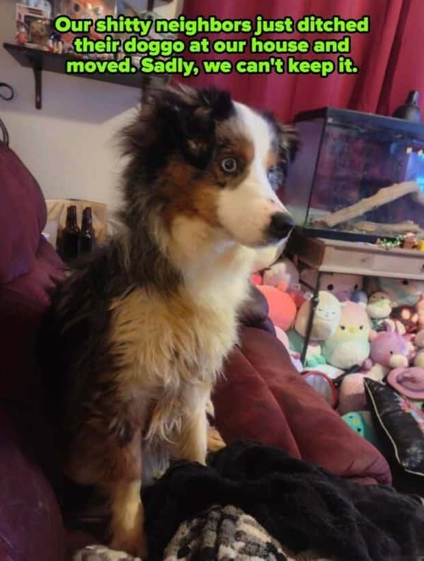 Awful Neighbors Who Crossed the Line (40 photos)