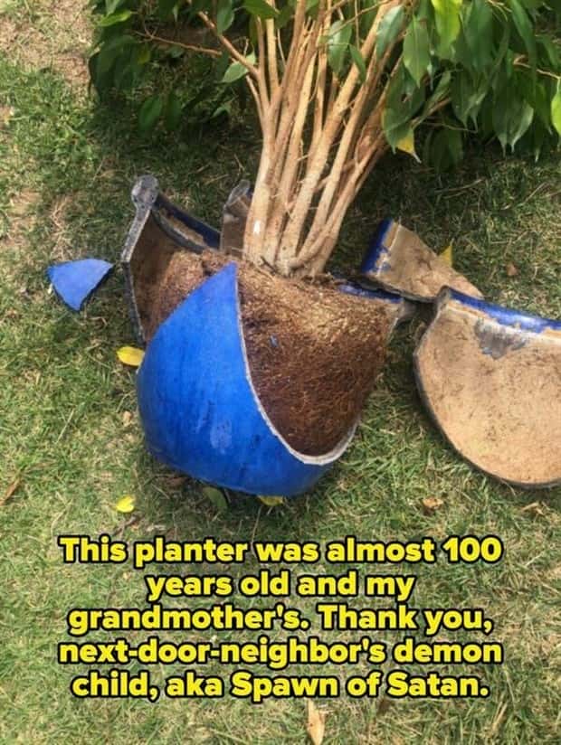 Awful Neighbors Who Crossed the Line (40 photos)