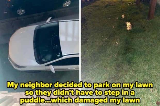 Awful Neighbors Who Crossed the Line (40 photos)