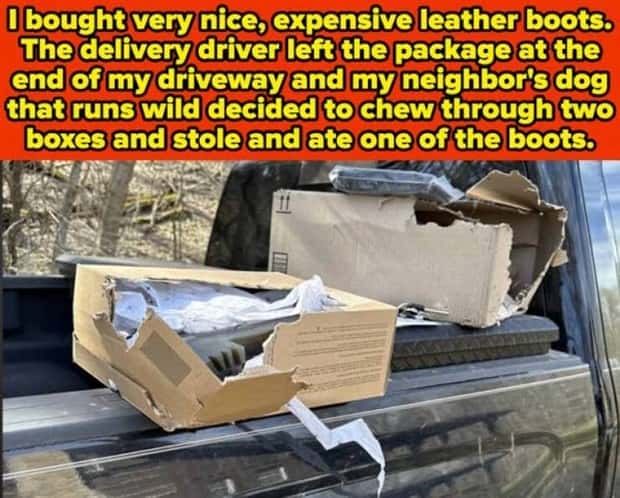 Awful Neighbors Who Crossed the Line (40 photos)