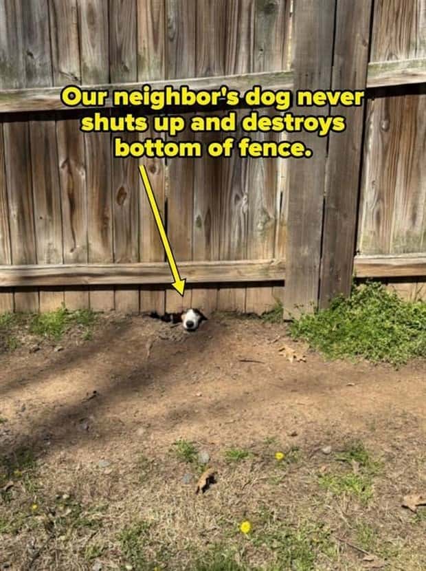 Awful Neighbors Who Crossed the Line (40 photos)