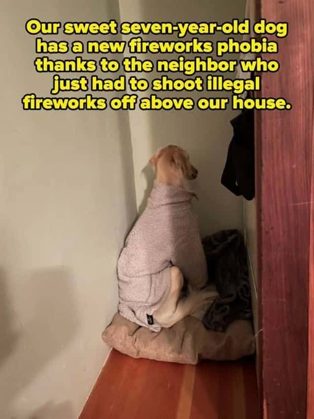 Awful Neighbors Who Crossed the Line (40 photos)