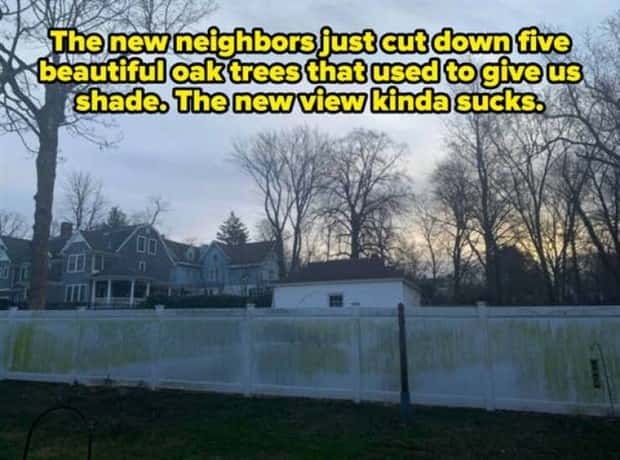 Awful Neighbors Who Crossed the Line (40 photos)