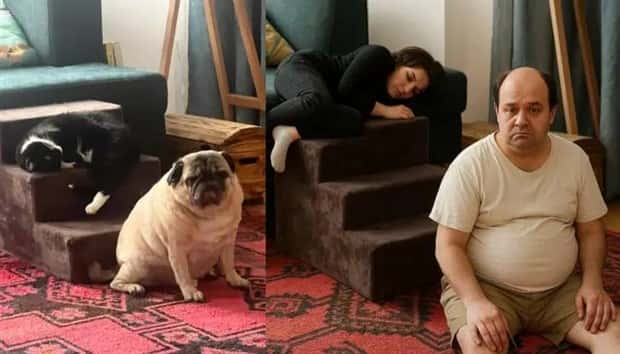 chatgpt turns animals into people 12 ChatGPT Turns Animals into Humans (14 photos)