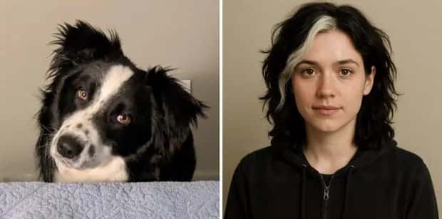 chatgpt turns animals into people 5 ChatGPT Turns Animals into Humans (14 photos)