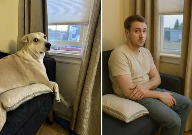 chatgpt turns animals into people 6 ChatGPT Turns Animals into Humans (14 photos)