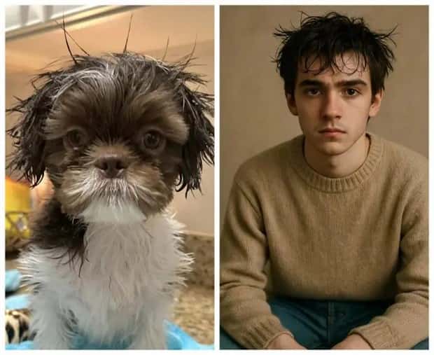 chatgpt turns animals into people 9 ChatGPT Turns Animals into Humans (14 photos)