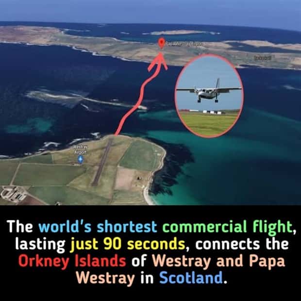 Cool and Interesting Facts #427 (20 photos)