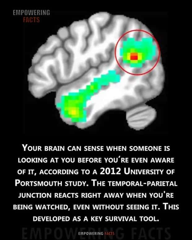 Cool and Interesting Facts #427 (20 photos)