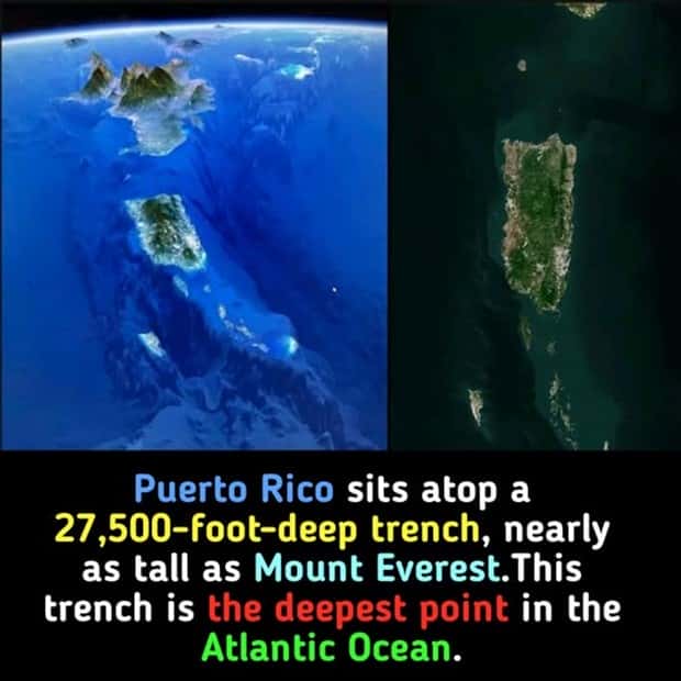 Cool and Interesting Facts #427 (20 photos)