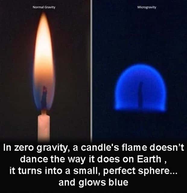 Cool and Interesting Facts #427 (20 photos)