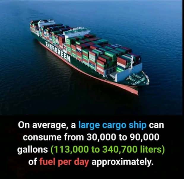 Cool and Interesting Facts #427 (20 photos)