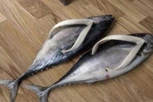 Cringe-Worthy Footwear That Shouldn’t Exist (24 photos)
