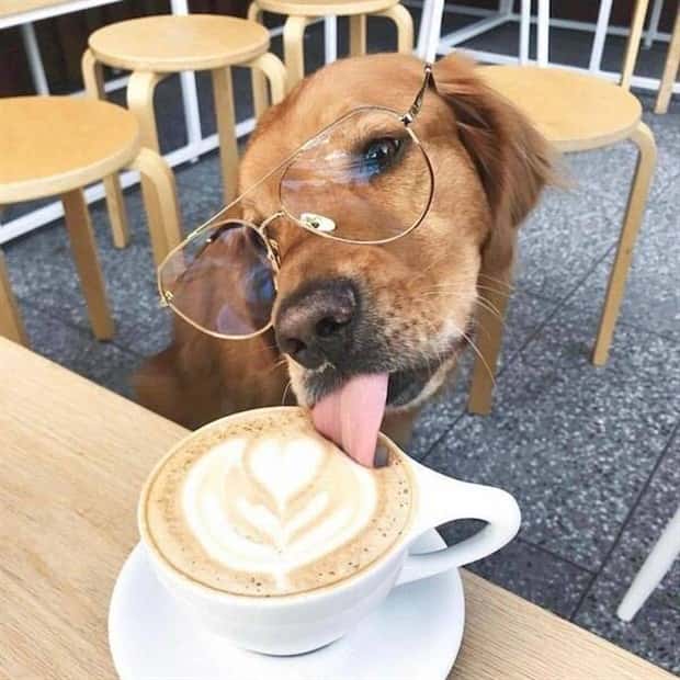 funny animals 16 1 Get Ready for Funny Animals #380 (24 photos)