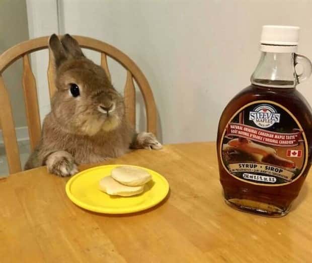 funny animals 23 1 Get Ready for Funny Animals #380 (24 photos)