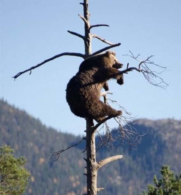 funny animals 4 1 Get Ready for Funny Animals #380 (24 photos)