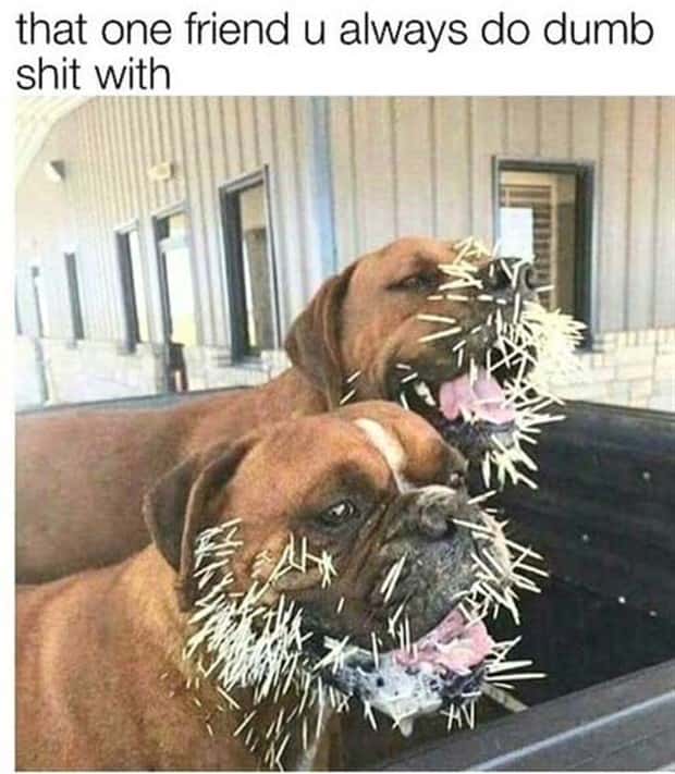 Funny Pics and Memes to Make You Laugh #151 (24 photos)