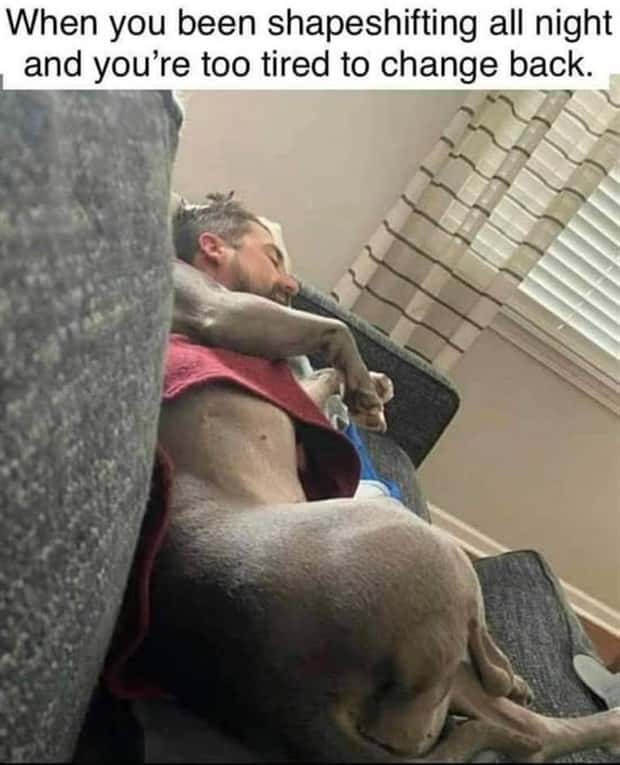 Funny Pics and Memes to Make You Laugh #151 (24 photos)