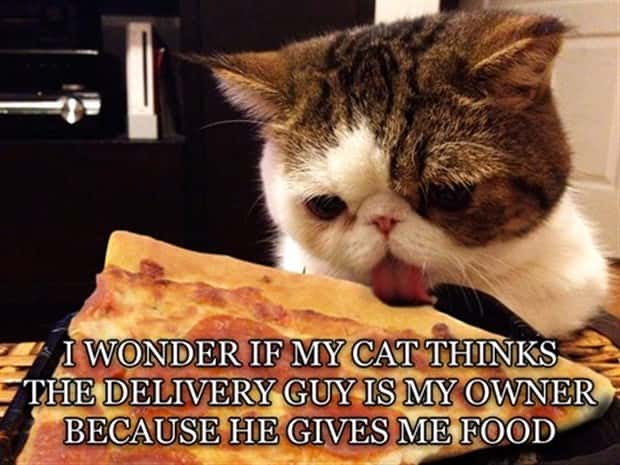 funny shower thoughts 1 Funny Shower Thoughts #148 (18 photos)