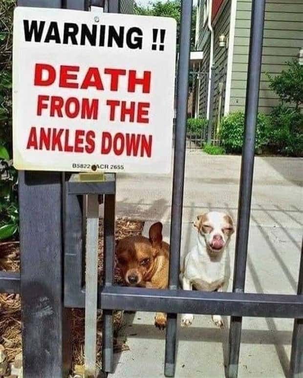 Funny Signs that Will Leave You Perplexed #15 (23 photos)