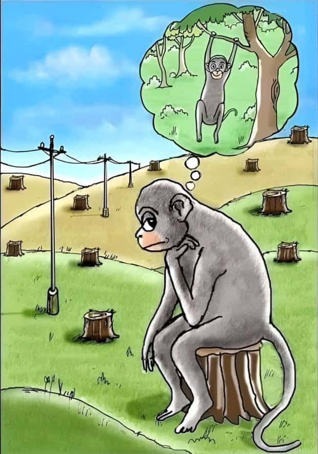 23 Powerful Images with Deep Meaning (23 photos)