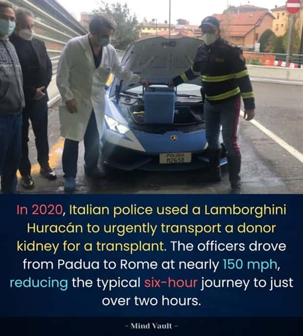 interesting facts 1 Cool and Interesting Facts #425 (25 photos)